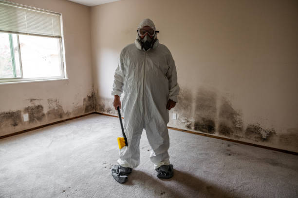 Best Air Quality Testing for Mold Spores  in Burnt Store Marina, FL