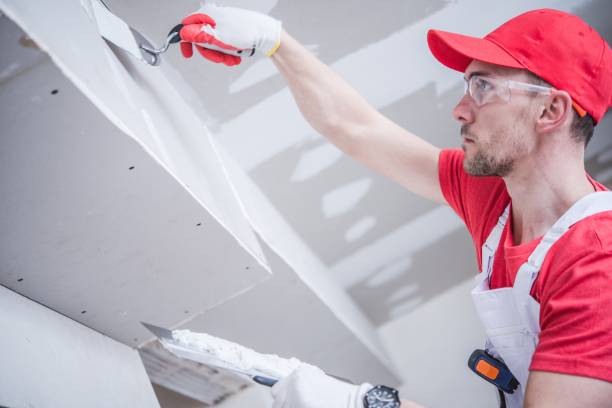 Best Attic Mold Removal  in Burnt Store Marina, FL